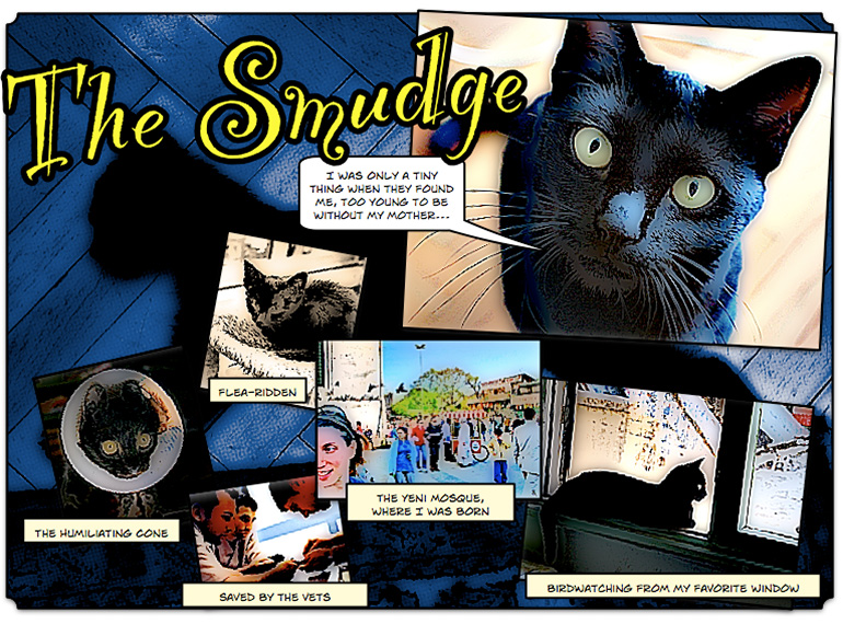 About Smudge